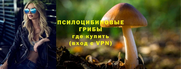 2c-b Пересвет