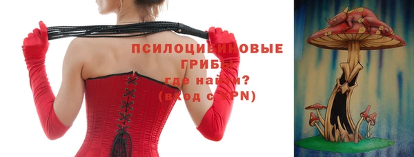 шишки Остров
