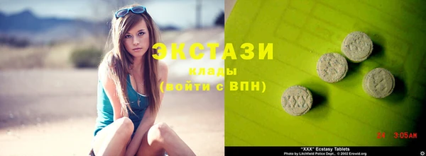 гашик Осинники