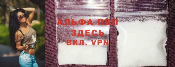 гашик Осинники