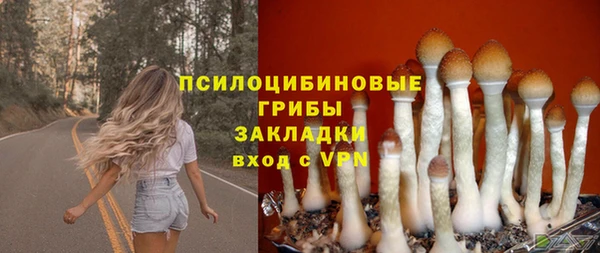 mdpv Пестово