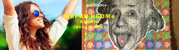2c-b Пересвет