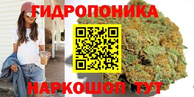 прущие крисы Заводоуковск