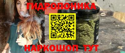 прущие крисы Заводоуковск