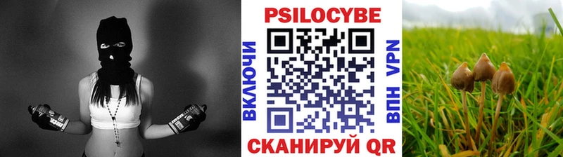 Псилоцибиновые грибы ЛСД  закладка  Павловский Посад 