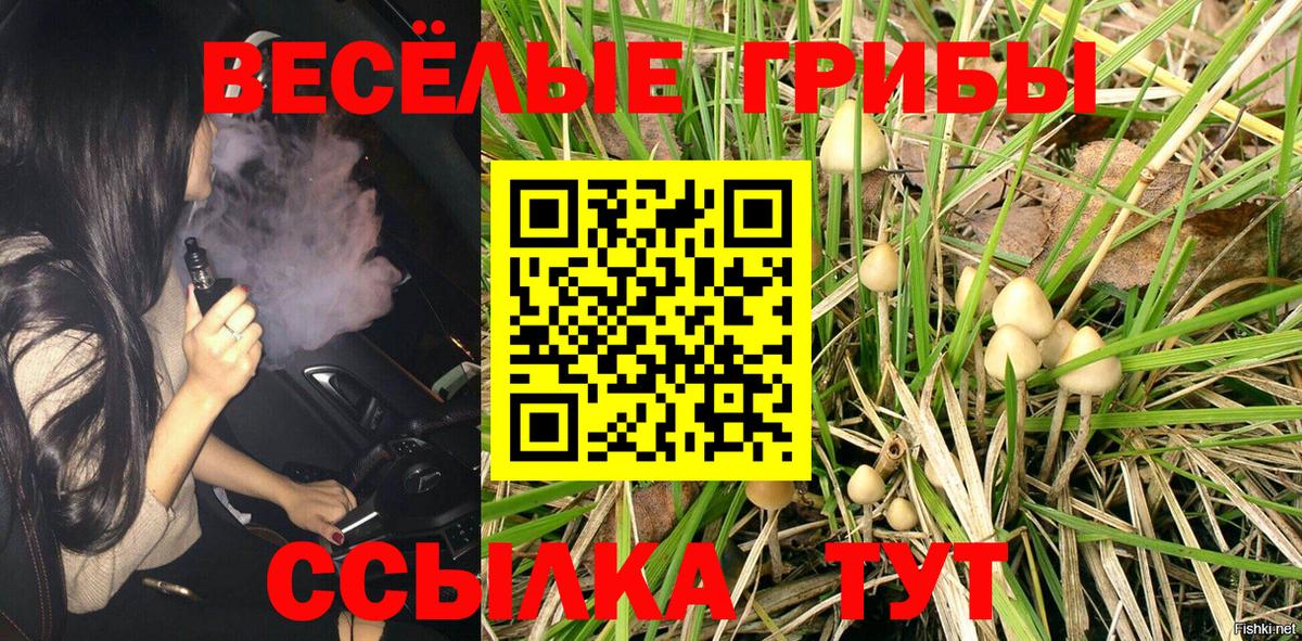 Псилоцибиновые грибы Psilocybe  Павловский Посад 