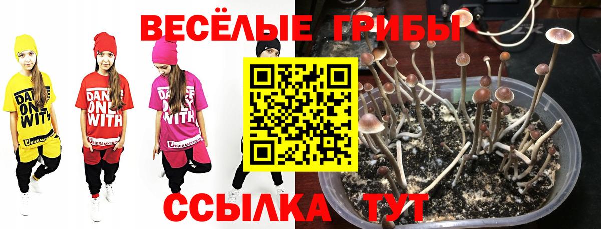 Псилоцибиновые грибы ЛСД Павловский Посад