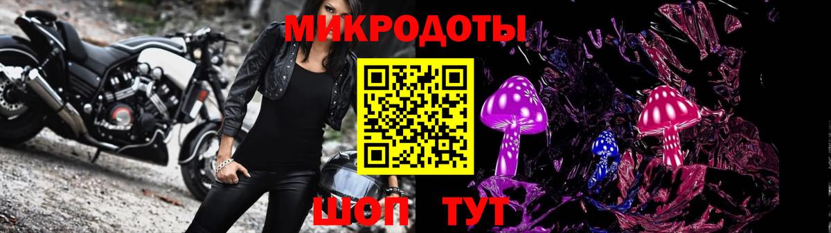 Псилоцибиновые грибы GOLDEN TEACHER  Псилоцибиновые грибы Magic Shrooms  купить закладку  Павловский Посад  Вход с VPN 